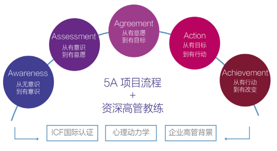 群智5A高管教练